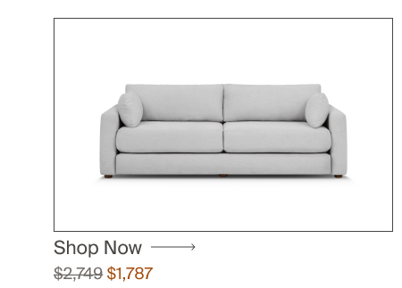 Sleeper Sofa
