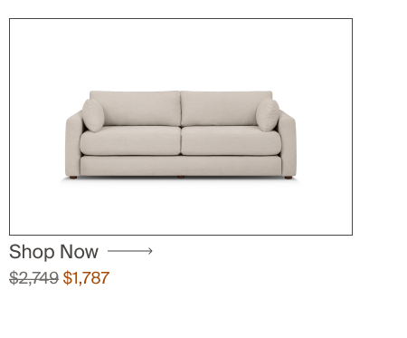 Sleeper Sofa
