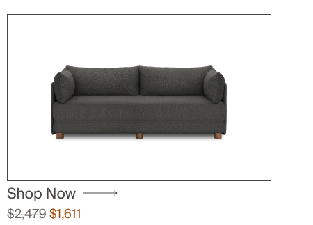 Sleeper Sofa