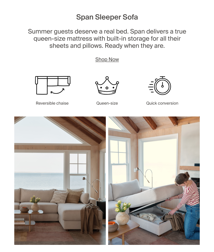 Sleeper Sofa