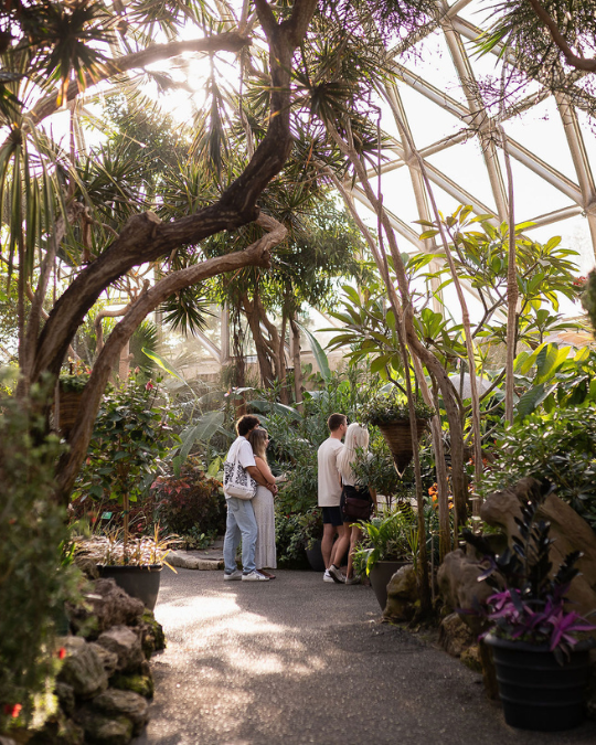 Visitors exploring the lush tropical plants and sunlit pathways inside Vancouver’s Bloedel Conservatory dome.