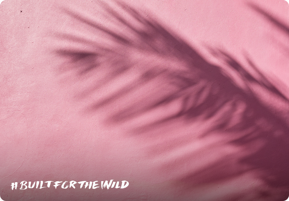 Built For The Wild