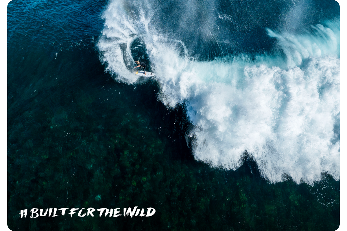 Built For The Wild