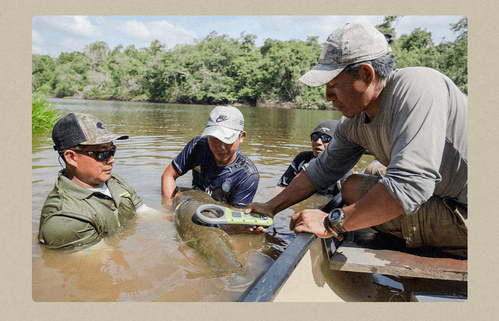 A Rare Chance To Fish The Amazon