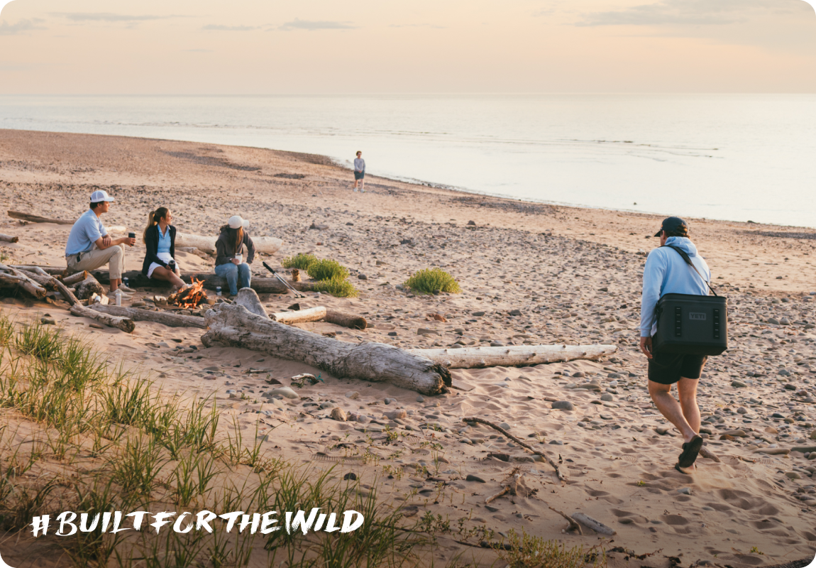 Built For The Wild