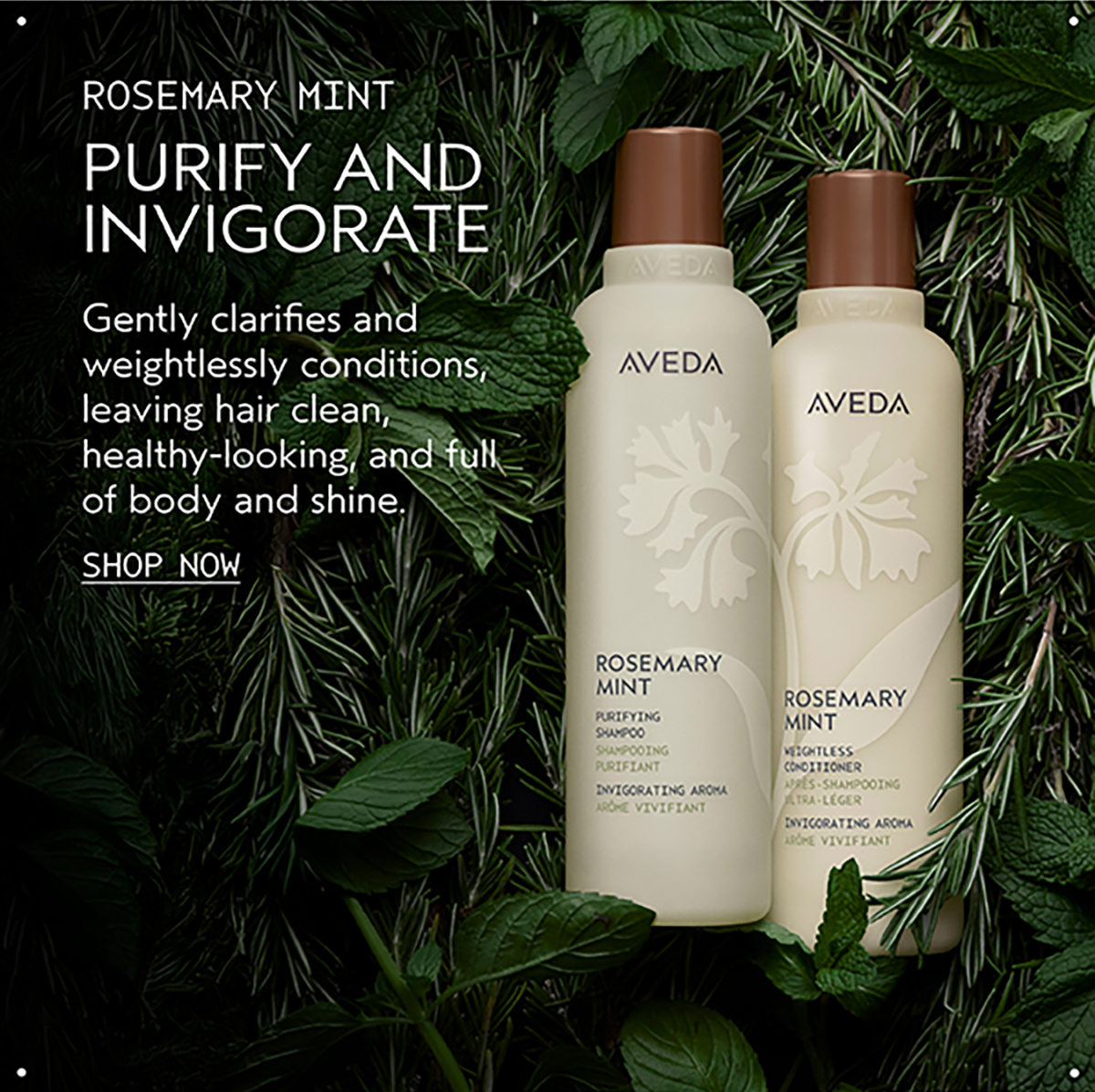 ROSEMARY MINT | PURIFY AND INVIGORATE | Gently clarifies and weightlessly conditions, leaving hair clean, healthy-looking, and full of body and shine. | SHOP NOW