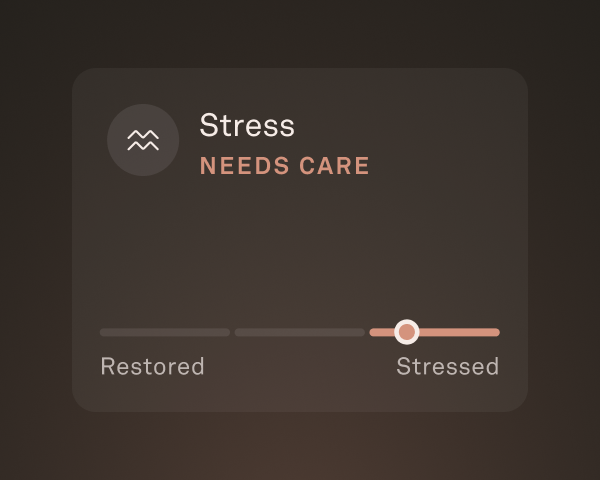 Stress level example in Oura App