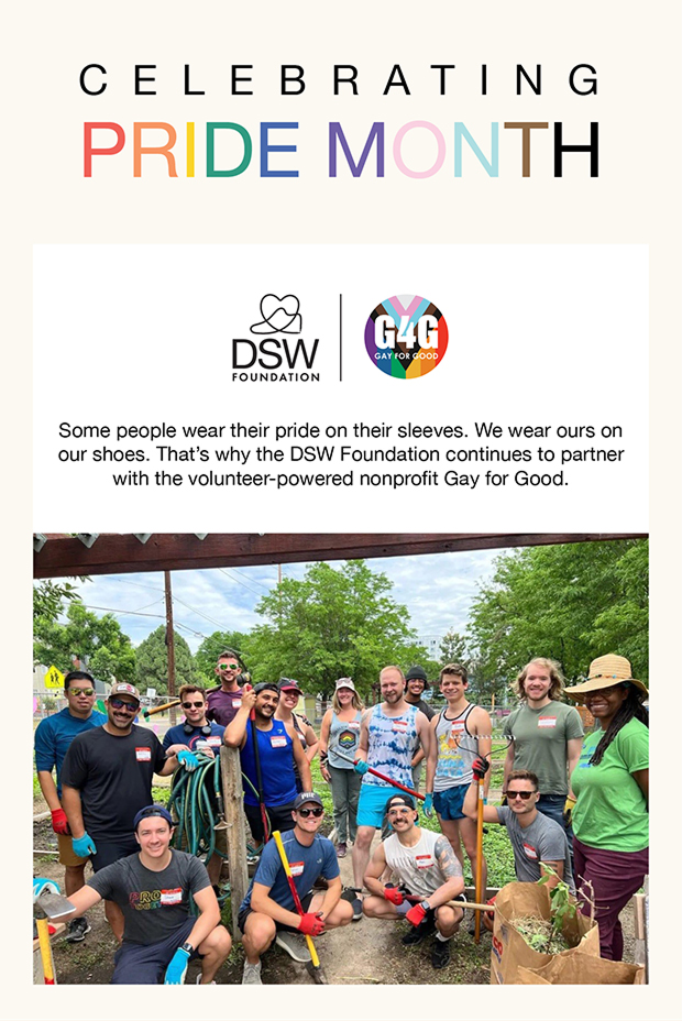 Celebrating Pride Month | DSW Foundation | G4G - Gay For Good