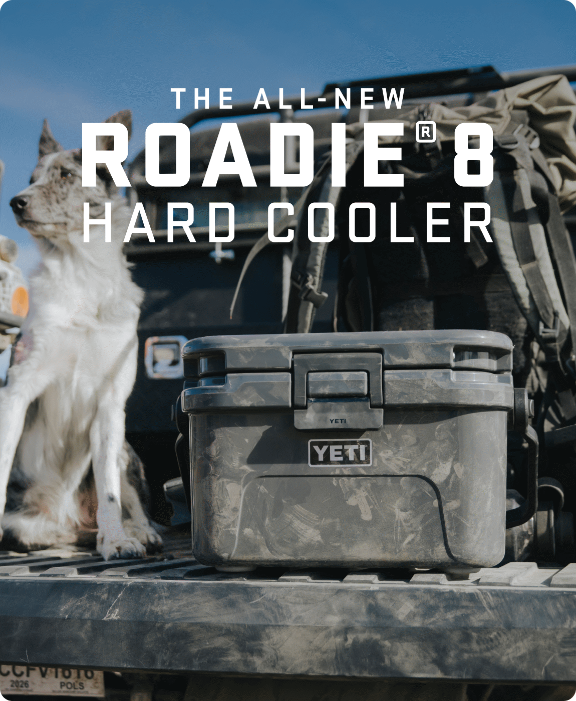 Early Access: The All-New Roadie® 8 Hard Cooler