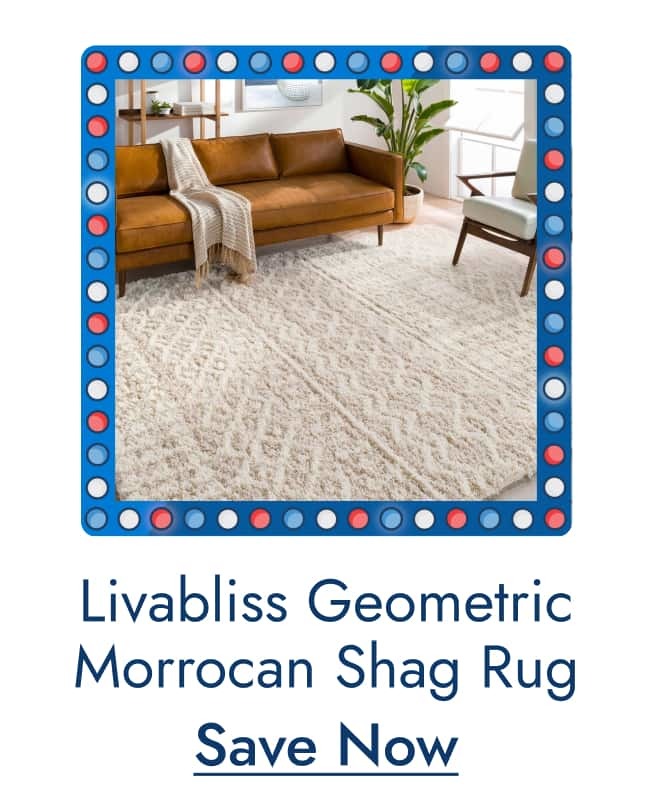 Shop Livabliss Newton Geometric Moroccan Trellis Shag Rug