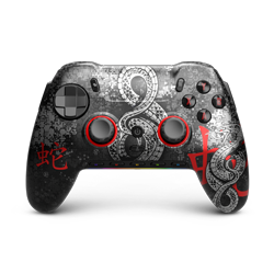 Envision Pro