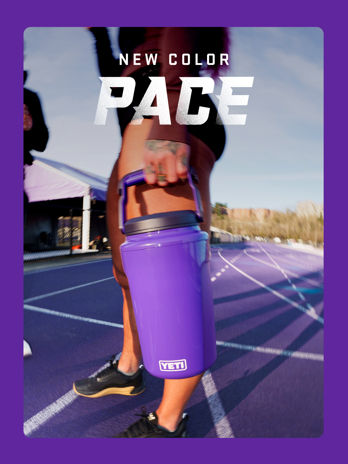 The Pace Purple Collection