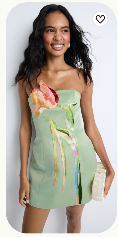 Roselle Bustier Mini Dress