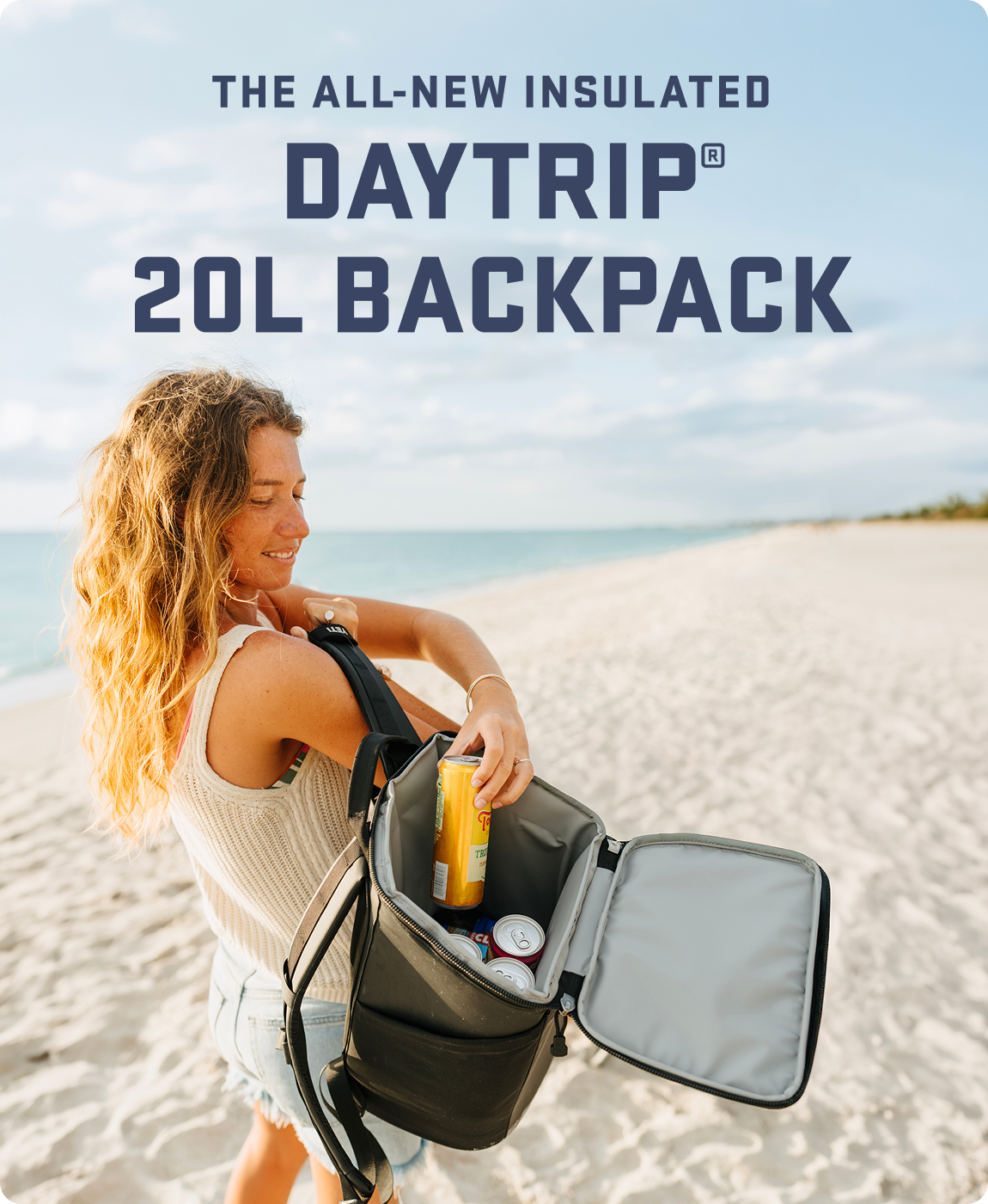 The All-New Insulated Daytrip® 20L Backpack