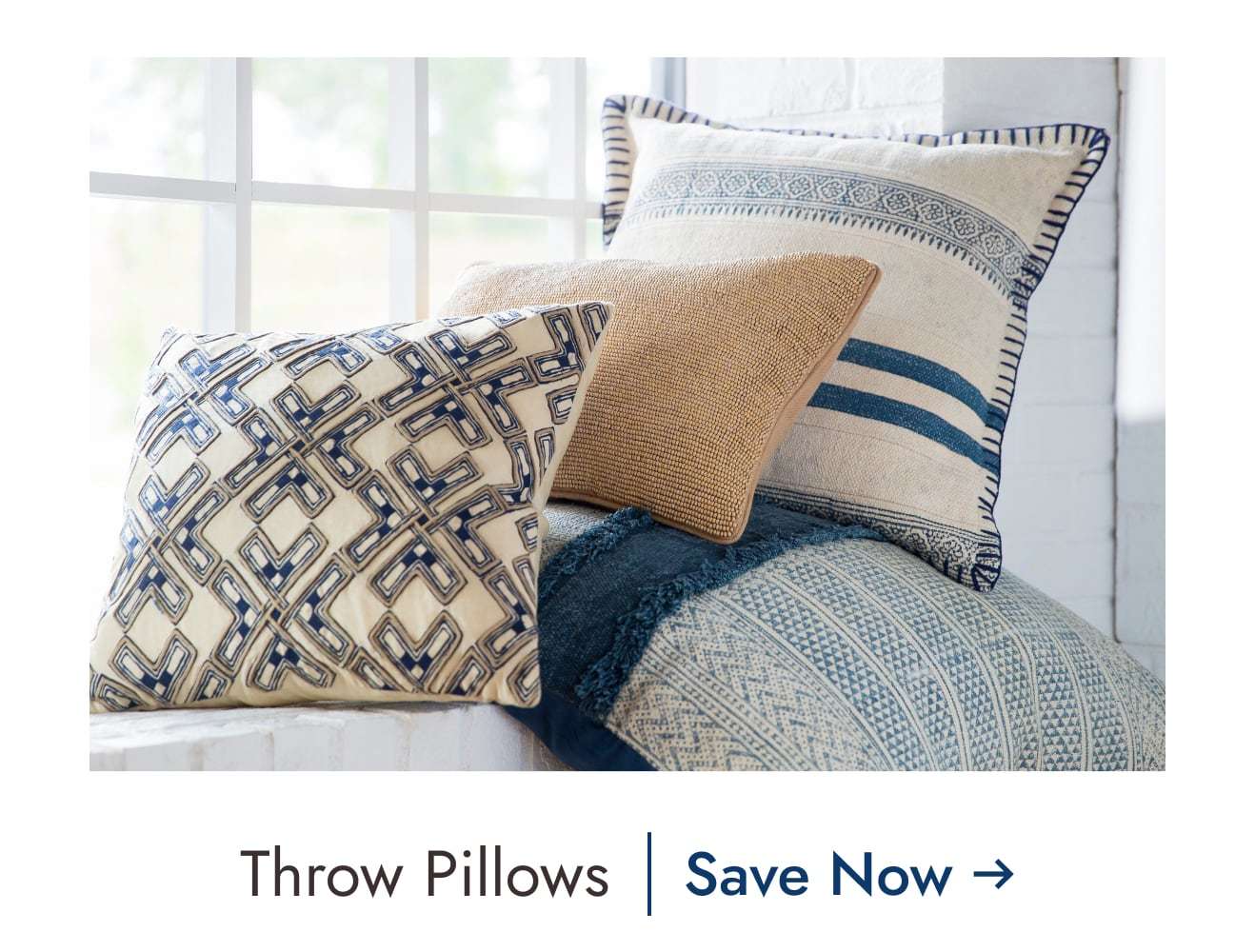 Save on Throw Pillows