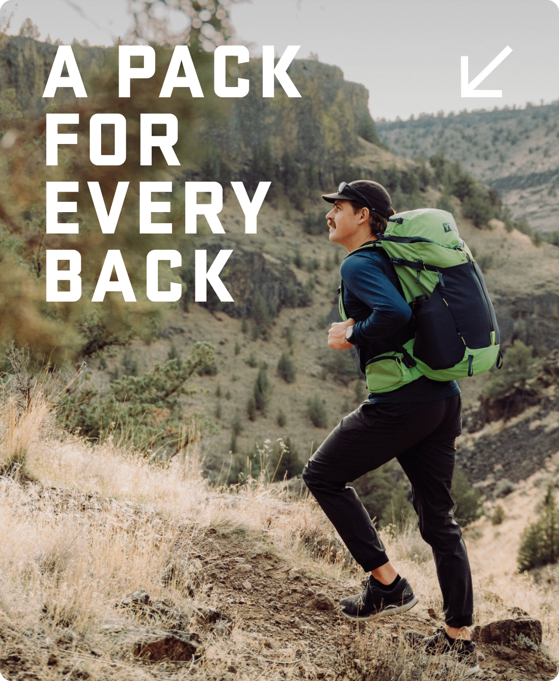 A Pack For Every Back