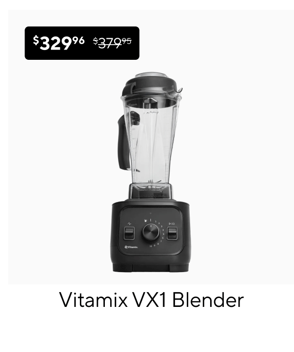 Vitamix VX1 Blender