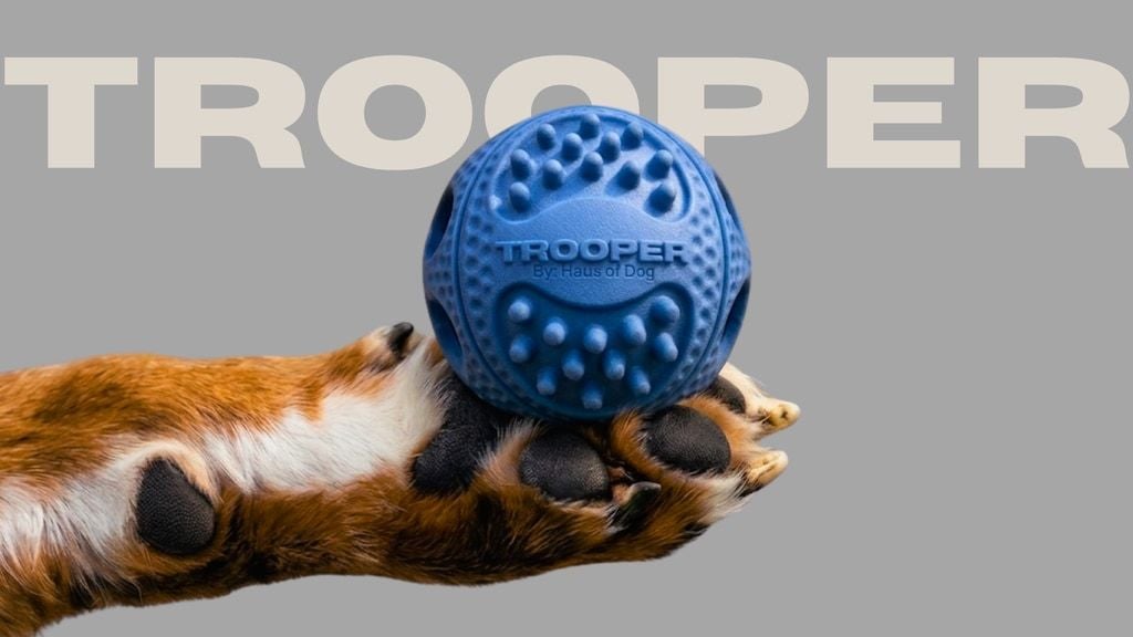TROOPER: The Ball Your Dog Has Been Waiting For