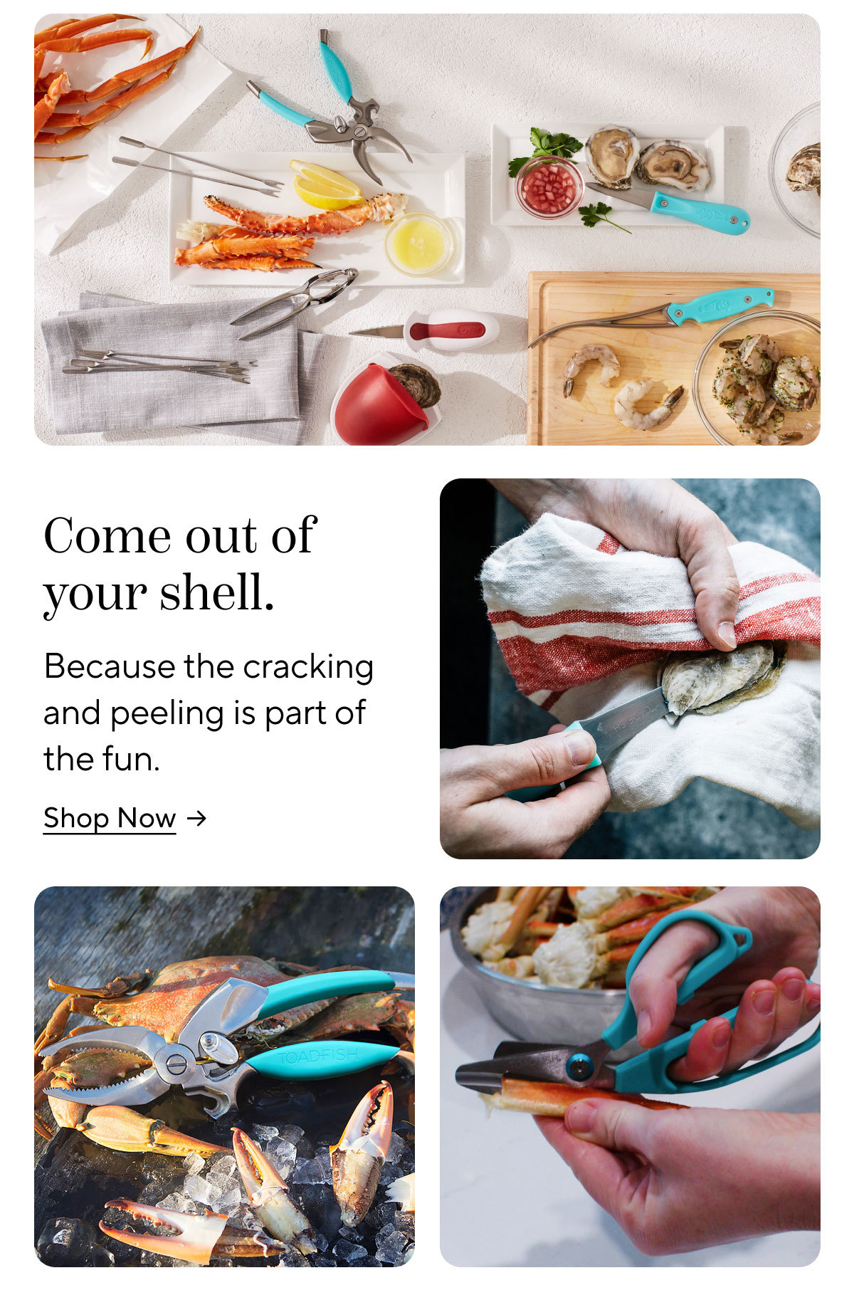 Seafood Tools