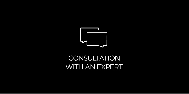 CONSULTATION WITH AN EXPERT