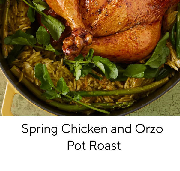 Spring Chicken And Orzo Pot Roast