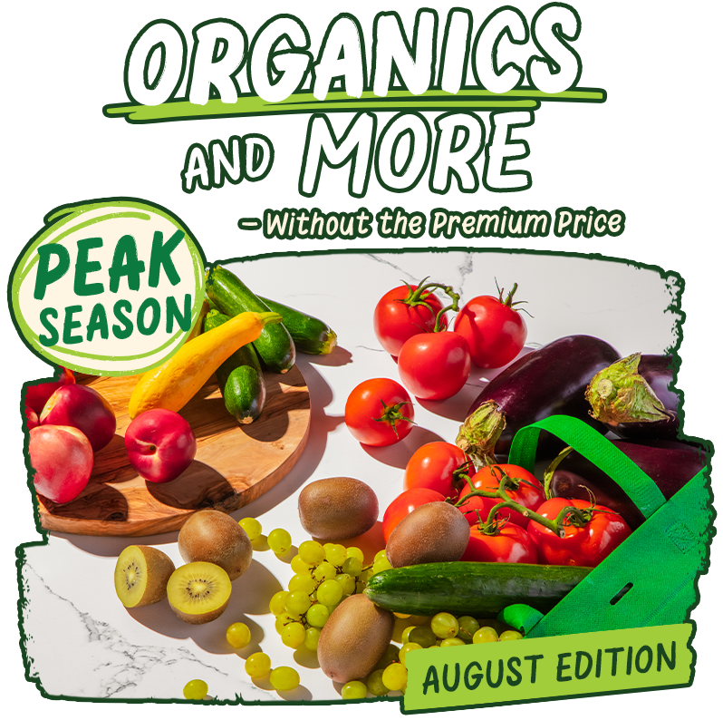 Discover Peak Season Picks: August Edition