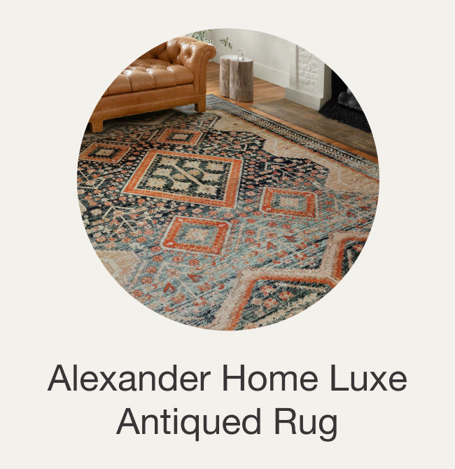 Alexander Home Luxe Ornate Antiqued Distressed Area Rug