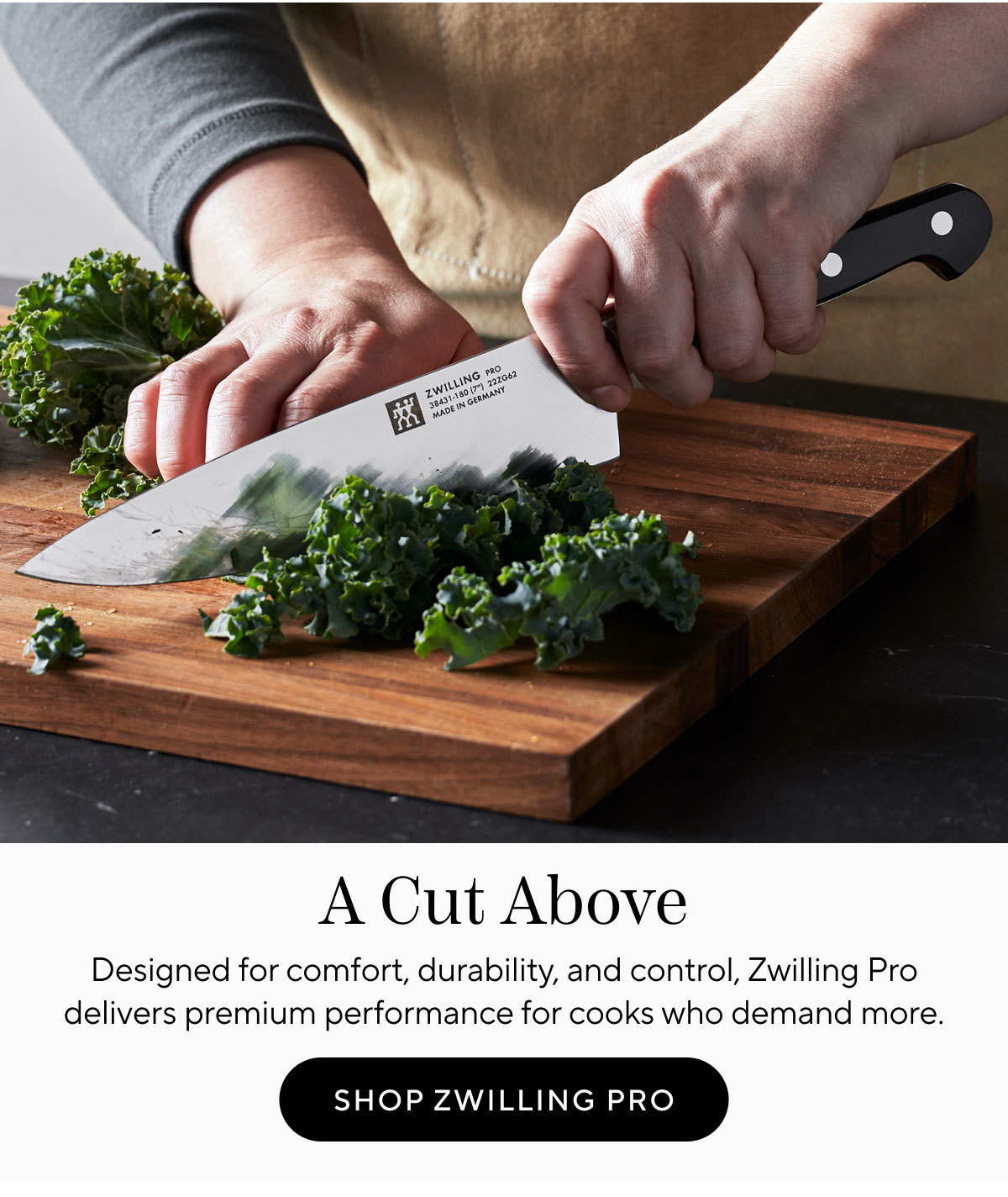 Shop Zwilling Pro