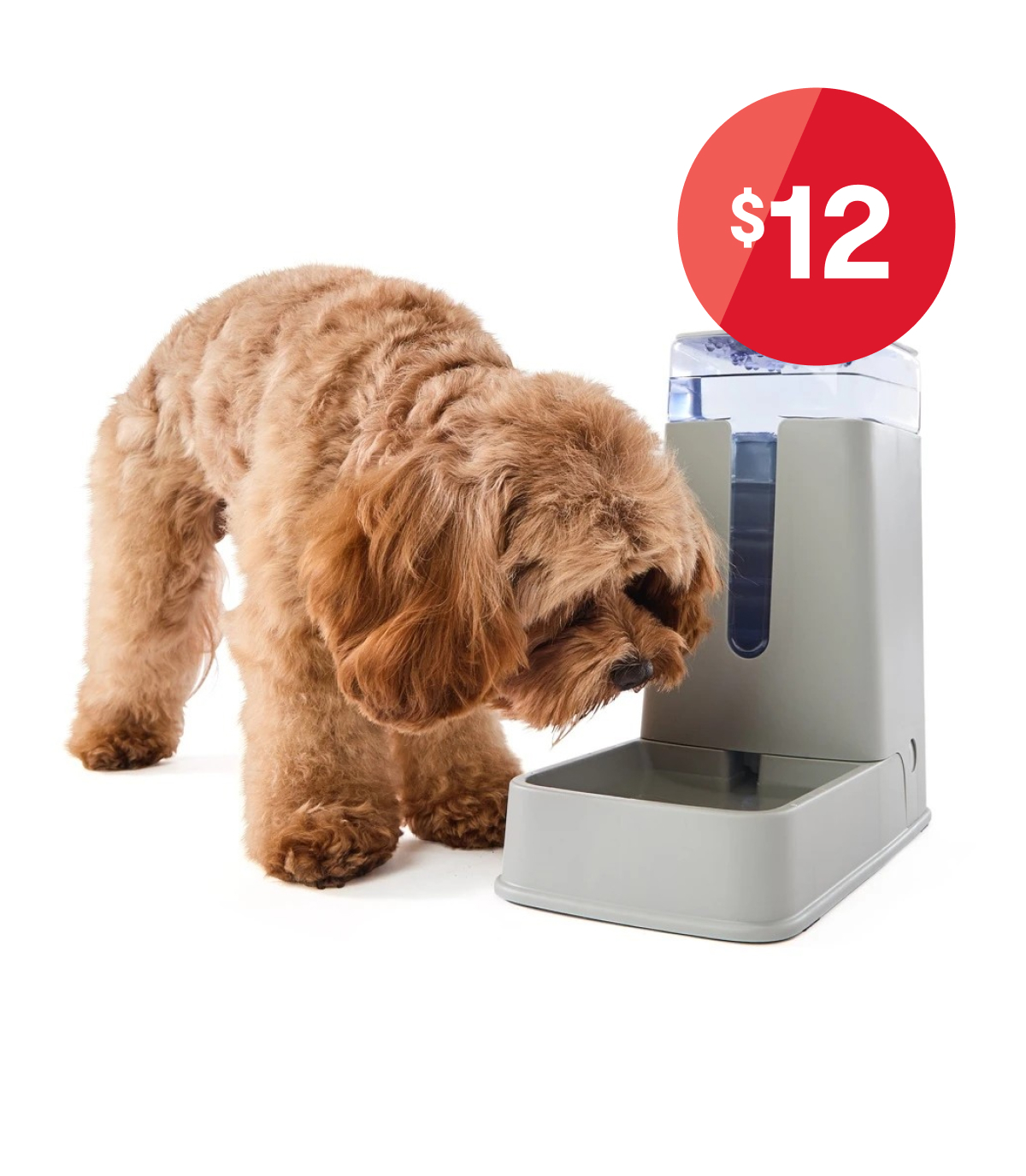 Shop all Pets
