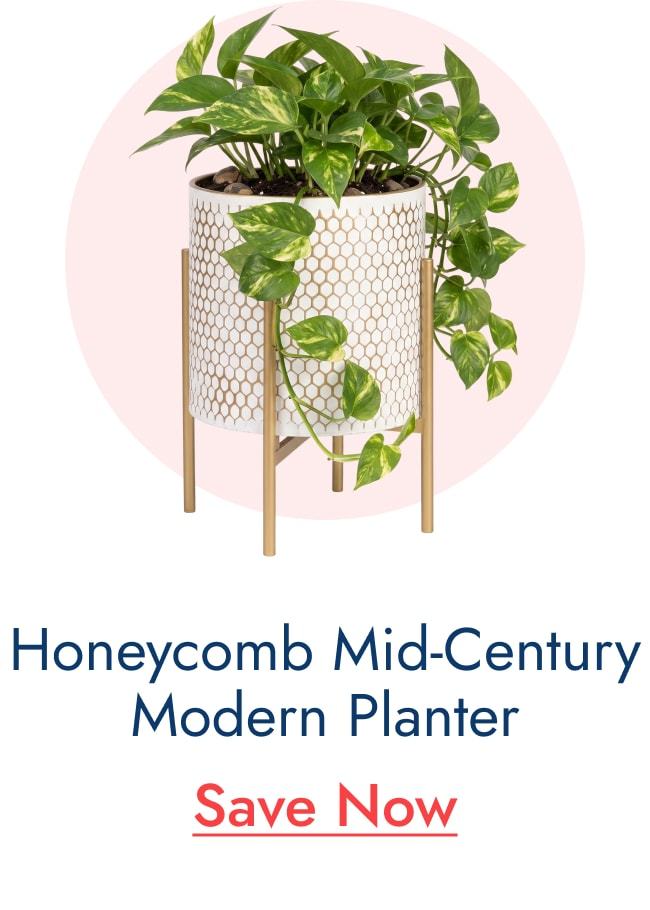 Honeycomb Mid-Century Modern Indoor Metal Pot Planter