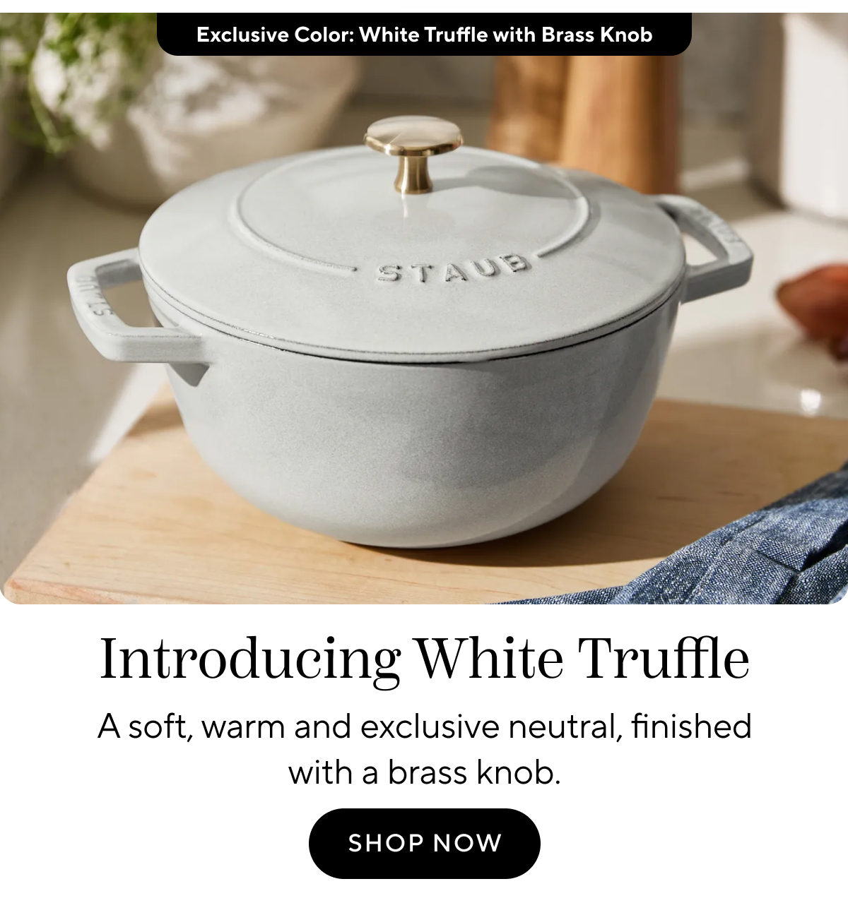Staub