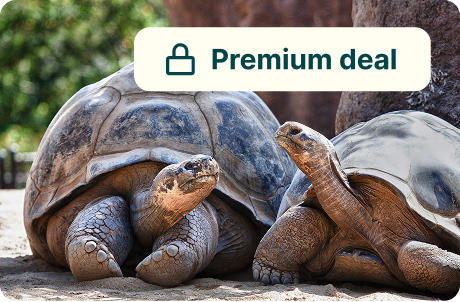 Premium deal