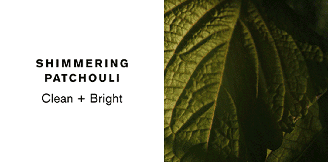 SHIMMERING PATCHOULI | Clean + Bright