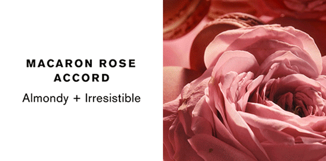 MACARON ROSE ACCORD | Almondy + Irresistible