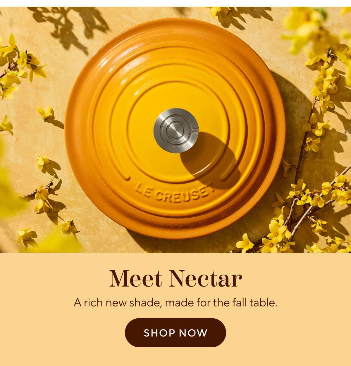 Meet Nectar