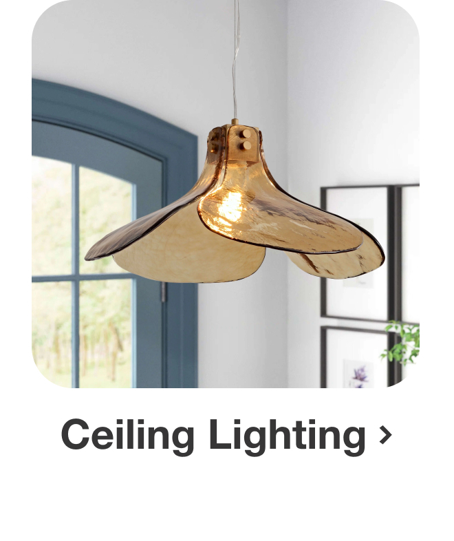 Save on Ceiling Lighting