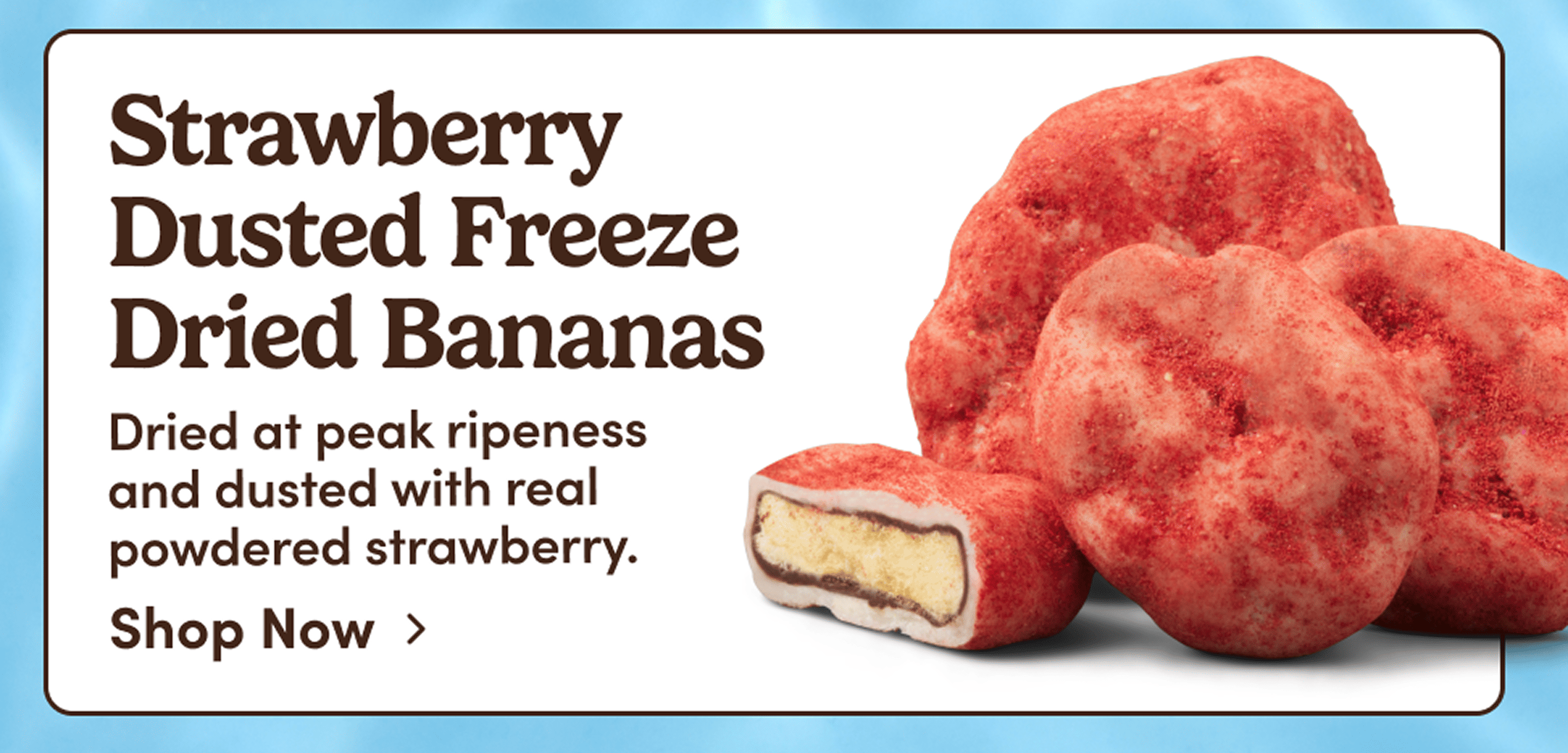 Strawberry Dusted Freeze Dried Bananas. Dried at peak ripeness and dusted with real powdered strawberry. Shop Now.