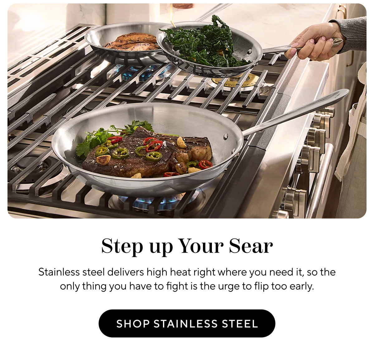 Shop stainlessSteel