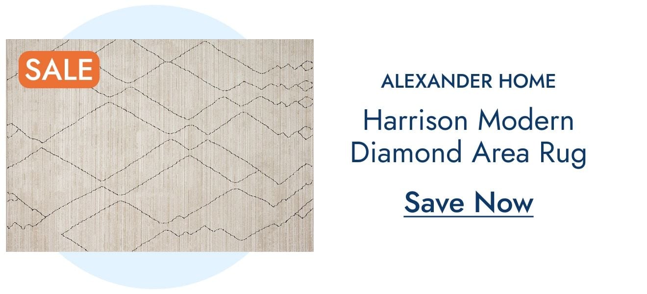 Alexander Home Harrison Modern Diamond Rug—Save Now