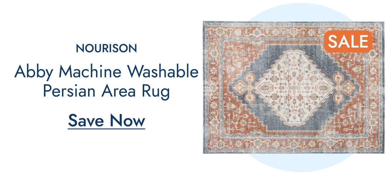Nourison Washable Persian Rug—Save Now