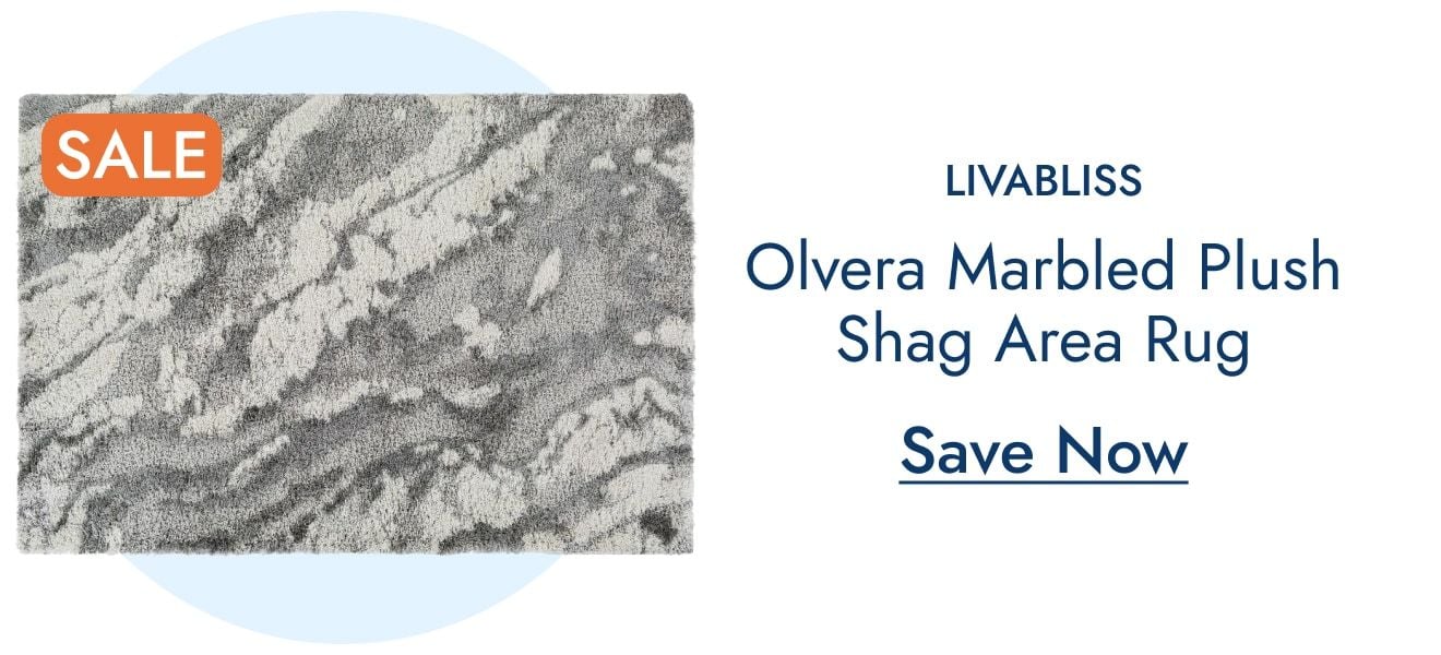 Olvera Marbled Plush Shag Rug—Save Now