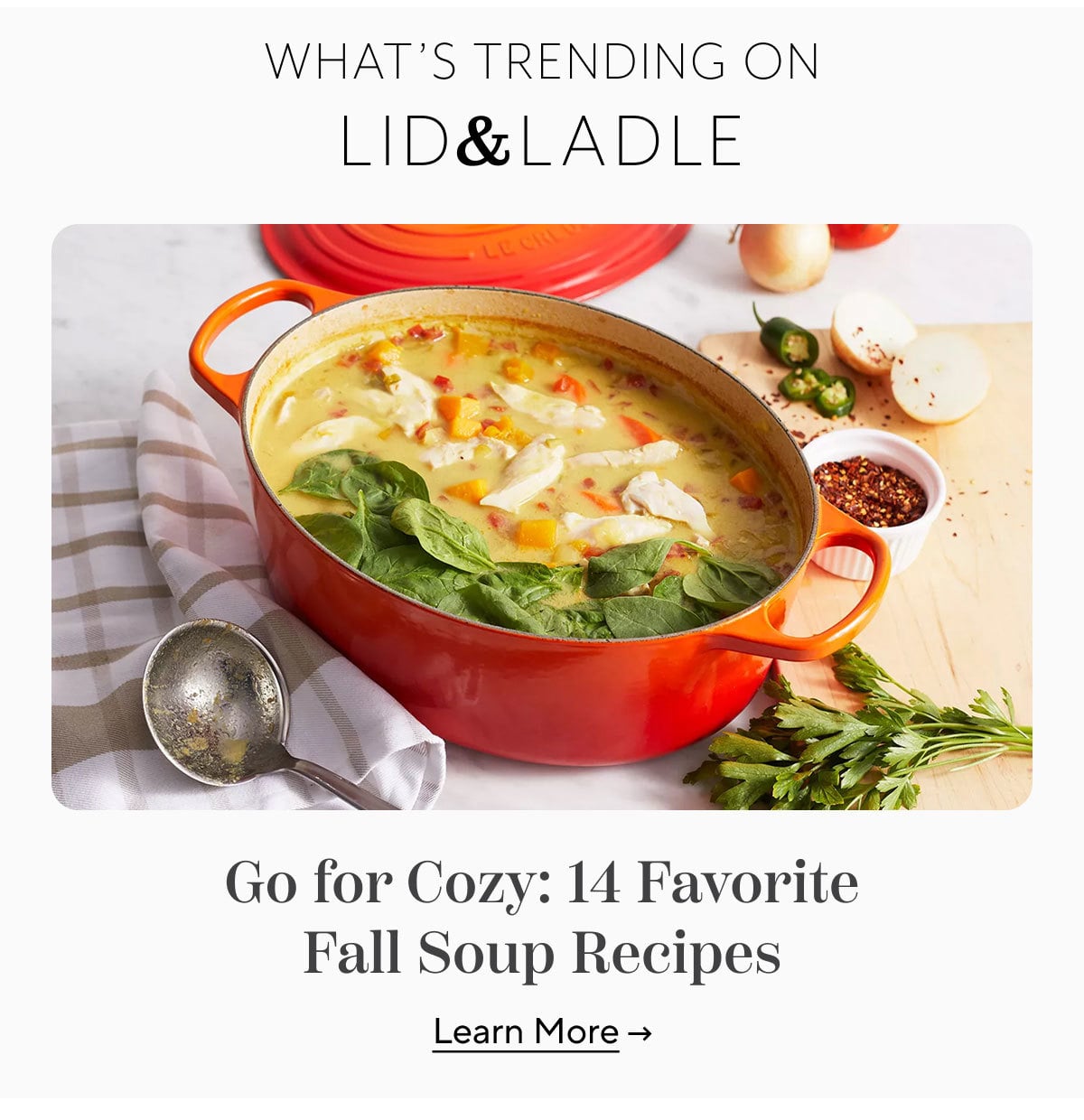 Go for Cozy: 14 Favorite Fall Soup Recipes