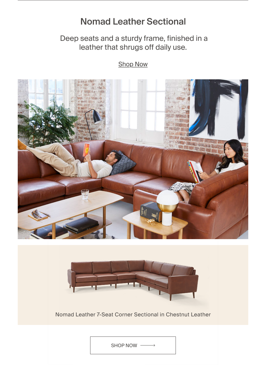 Nomad Leather Sectional