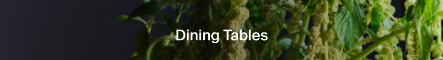 Dining Tables