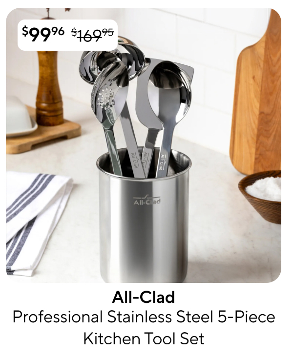 All-Clad Professional Stainless Steel 5-Piece Kitchen Tool Set