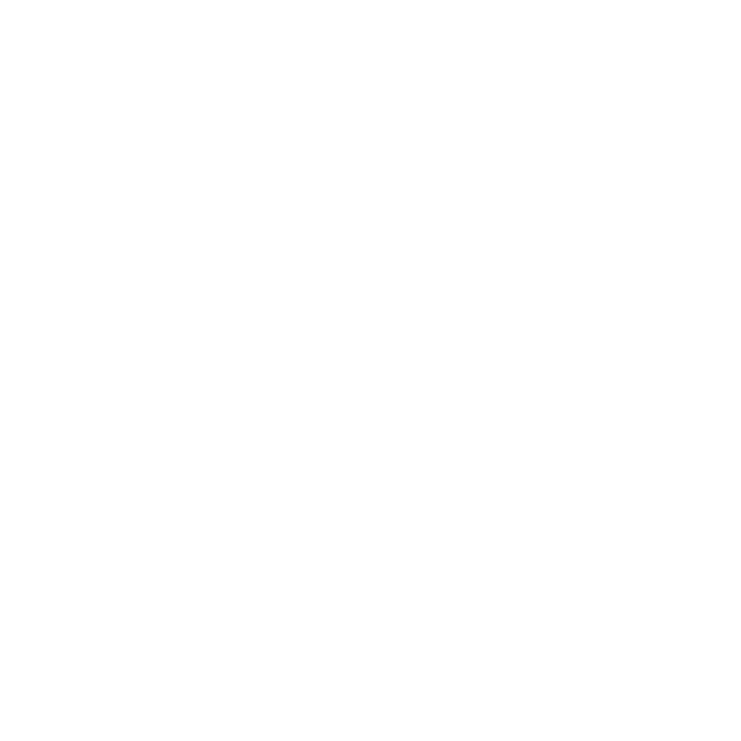 White Instagram logo that links to Laneway Fest Aus Instagram