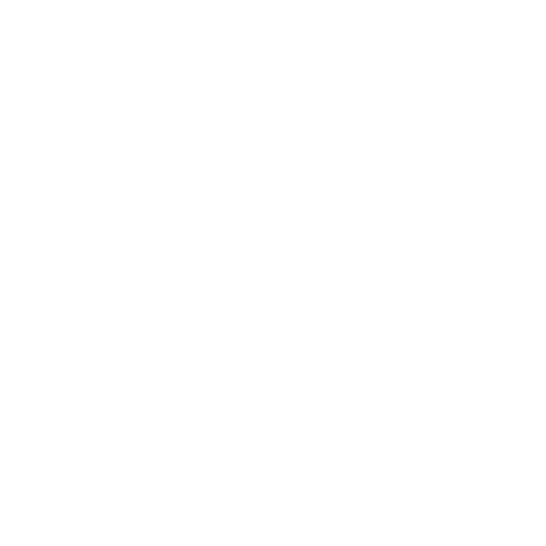 White Spotify logo that links to Laneway Festivals Spotify profile
