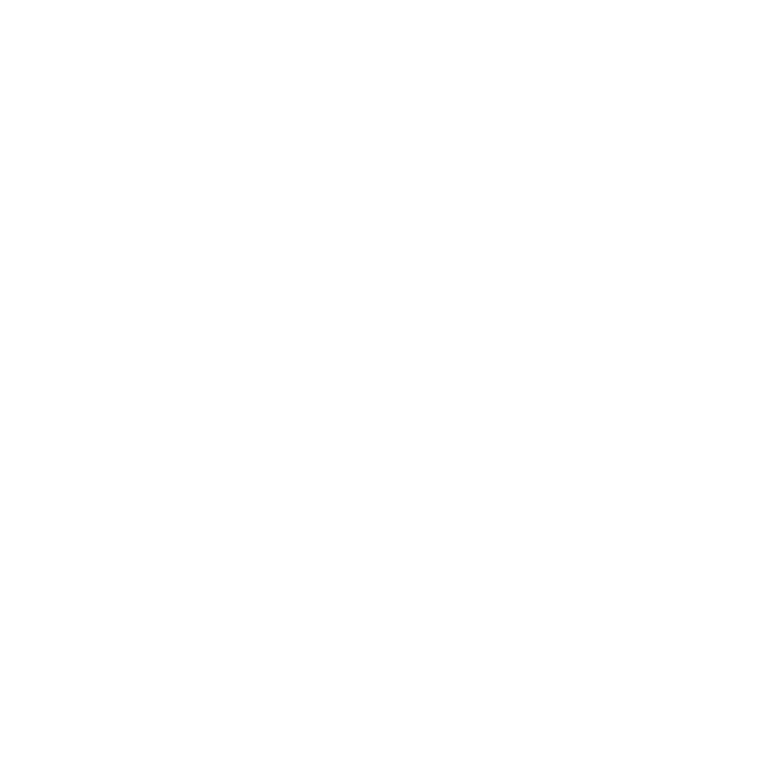 White TikTok logo that links to Laneway Festival Aus TikTok page