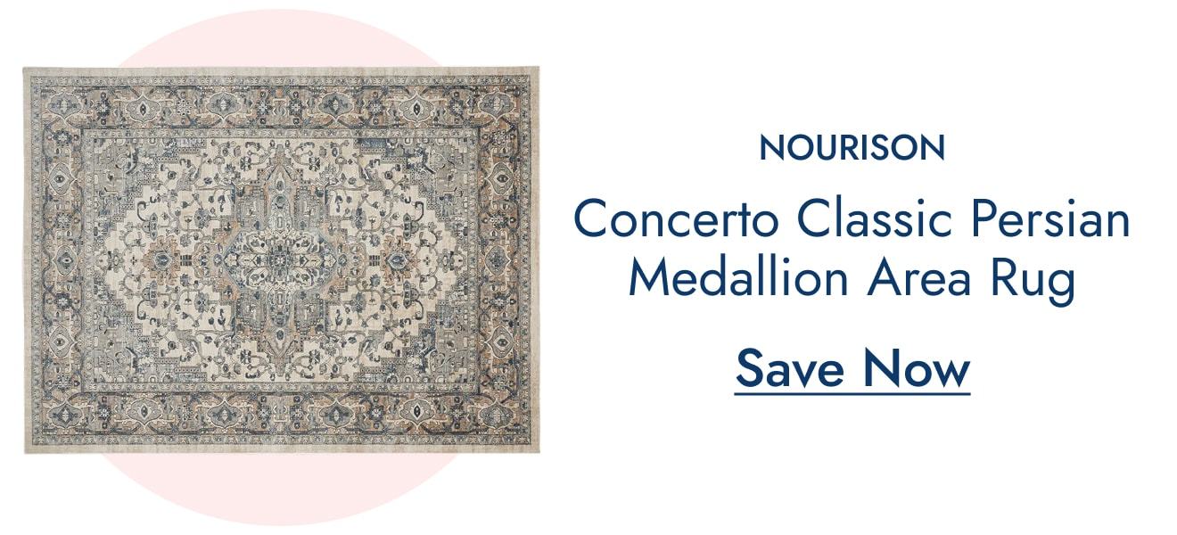 Nourison Concerto Persian Area Rug