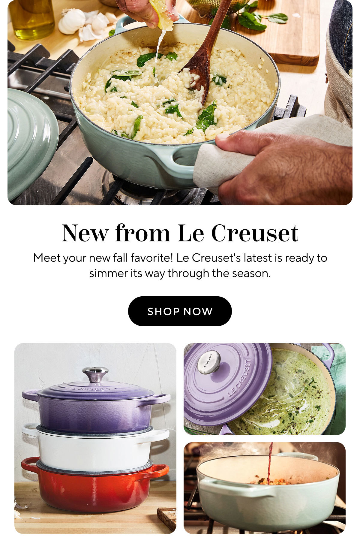 Shop Le Creuset